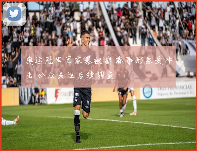 奥运冠军因家暴被捕 赛事形象受冲击 公众关注后续调查