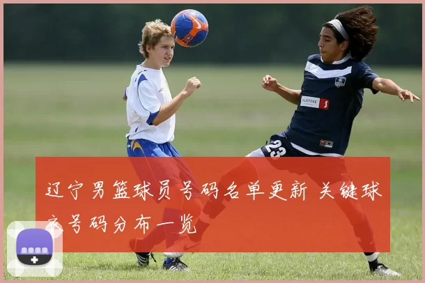 辽宁男篮球员号码名单更新 关键球衣号码分布一览