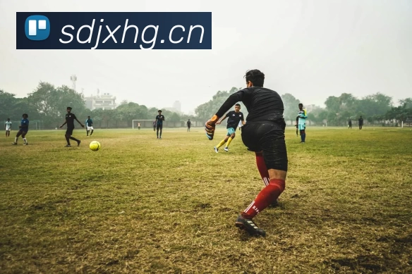 多媒体互动体验